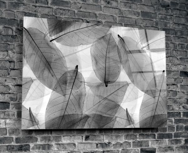 Siyah-Beyaz Yapraklar Cam Tablo