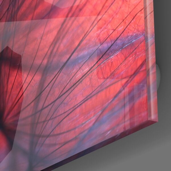 Kızıl Karahindiba Cam Tablo