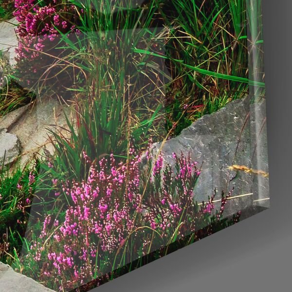 Patika Yol Cam Tablo